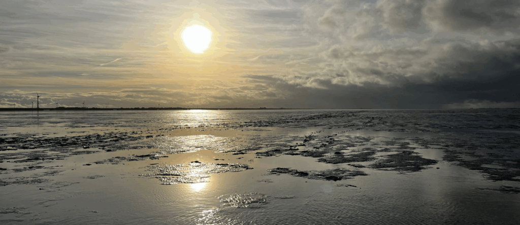 Enshore Subsea Awarded Contract for German Offshore Grid Projects